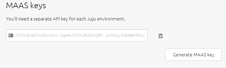 MAAS API key